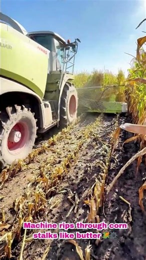Clean Field in Minutes! Fast Corn Stalk Shredder 🚜⚙️