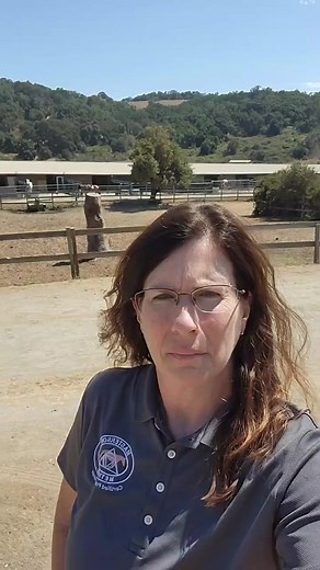 White Horse Bodywork on Reels