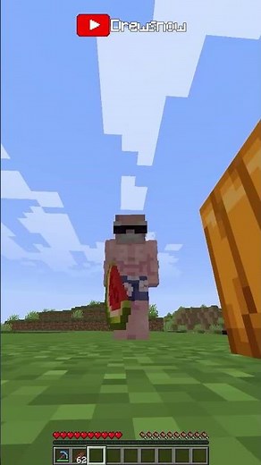 I changed Donut SMP's meta for the last year... NEW META!!