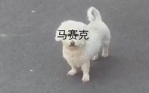 【大义灭亲！】民警送狗子回家发现主人聚众赌博