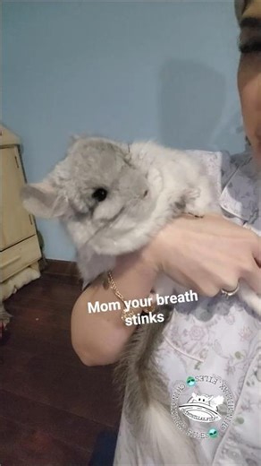 No kisses kind of day for mama😆