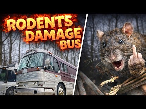 Rat infested Bus! Nothing On The Dash Works