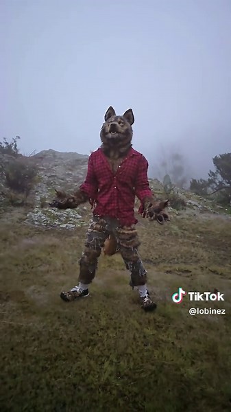 If I am a freak for making this, so you're a freak for watching it 🤪 #werewolf #lycanthrope #lycantropo #wolf #costume #hombrelobo #loupgarou #beast #lobo #monster Suit credits: Upper Mask/headdress by @Eastern Wind Studio Feet foam paws by @Willow Paws and tail self-made from FoxFire's @FoxfireFantasy patterns Photography: @Zipaktli (my wife🖤) The rest (including the jaw) self made.