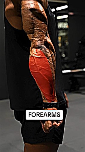 Jaxon Cruz | #1 Transformation Coach for Men on Instagram: "Ready to transform your body? This is by far the best fitness plan to transform your body in 2025! 💪 ⁠ It’s called The Ultimate Workout Guide 🏋️‍♂️⁠ ⁠ And thousands of people are already achieving their dream physique with it! 🔥⁠ ⁠ ✅ No expensive equipment needed ✅ Just 1-2 hours a day to see results ✅ Perfect for beginners and pros alike ⁠ I’ve created a complete guide that breaks down every step to help you get started.⁠ ⁠ Follow m