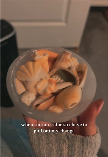 Seashell Collection Tips for Beach Lovers