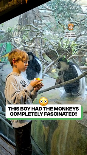 The monkey was giving him every ounce of atthention 😂 | Fluffy Animals