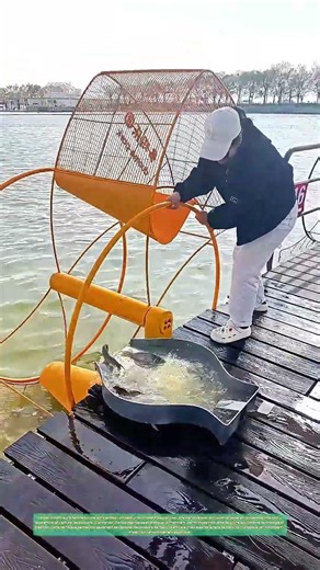 La pêche réinventée : Comment une femme utilise un outil rotatif pour capturer des poissons