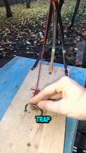 Engineers hate this trap because it’s too simple to fail! #DIY #SmartTrap #fblifestyle | baitbox.pl