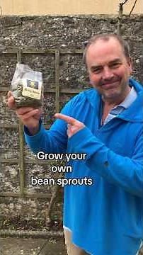 How to grow your own bean shoots from mung beans #gardeningforbeginners #growyourownfood
