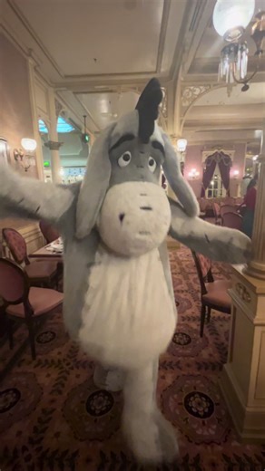 Big hug from Eeyore ✨ #disney #disneylandparis #disneyland #eeyore #fyp @Disneyland Paris ✨ @Disney @Disney Parks @Disney NL & BE
