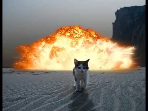 the BEST vocal stim collection on youtube