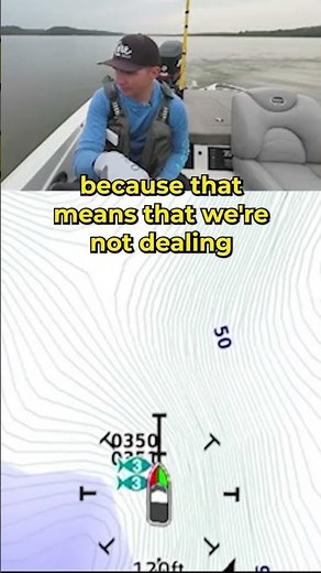 School of Bass on 2D Sonar #bassfishing #fishing #shorts