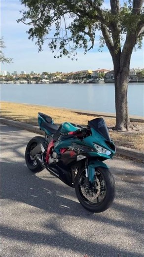 Ninja 636 custom #reels