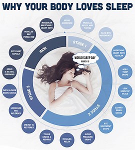Interesting Fact about Sleep