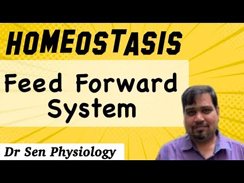 Feed Forward Control system in Homeostasis -Difference with negative feedback