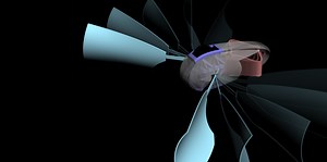 Designing an Untethered Soft Robot