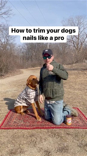 Very clever #dutchpet #hellodutch | Dutch