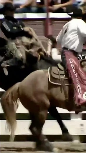 90 points for Brody Wells aboard Sankey Rodeo's Speak Easy | 2026 Cheyenne Frontier Days