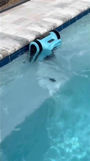 My pool robot cleaner ❤️🏊