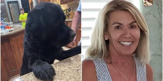 Max the 'hero' dog saves a mother with dementia lost for three days in a forest