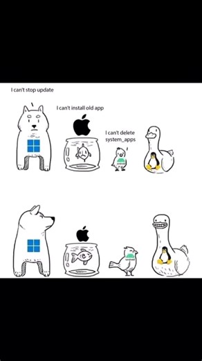 What do you think the duck represnting for linux is thinking? Leave the comment to answer. #techfun #sbeantechspace #xuhuong #fyp #linuxvswindows | Sbean Techspace
