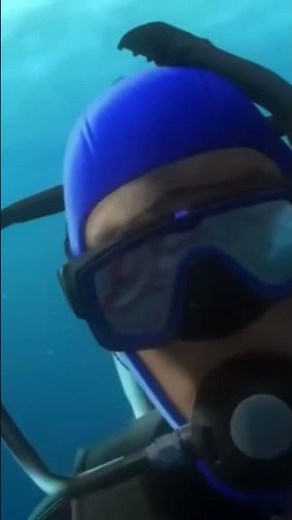 Finding Nemo Nemo Lost