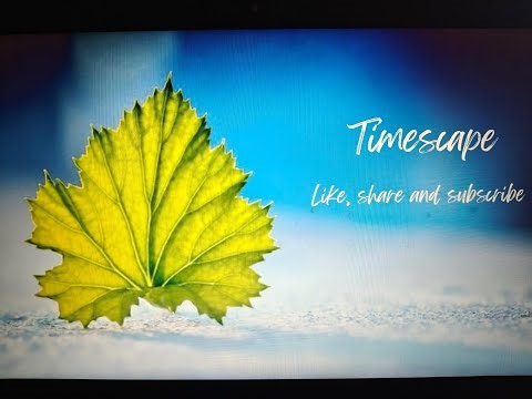 TIMESCAPE Lo-Fi , relaxing , chill beats .Meditative Live Stream