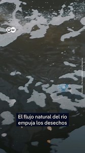 19K views · 32 reactions |  La empresa emergente “Great Bubble Barrier” de los Países Bajos está revolucionando la limpieza de los ríos y mares. Su innovador sistema bajo el muelle de Westerdok en Ámsterdam atrapa plásticos con burbujas de aire sin impactar la vida de los peces. Una solución creativa para un problema urgente.  @dw_espanol | 24horas.cl | Facebook