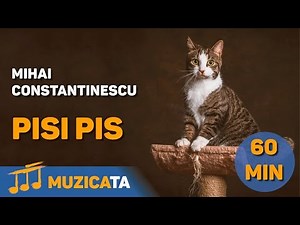 Pisi pis - Colaj muzical Mihai Constantinescu