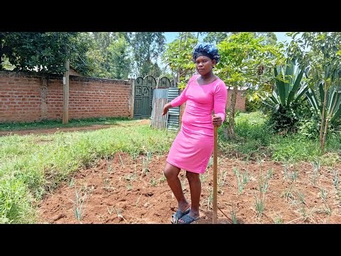 Planning vagatable to my kitchen garden mixed with onions