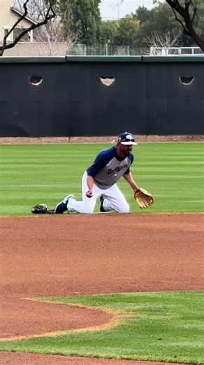 Mookie Betts: The Art of Daily Practice in Baseball