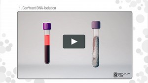 StripAssay® (1) - GeneXtract DNA-Isolation