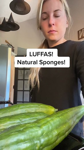 Drying Loofas in the Oven: A Natural Sponge DIY Process