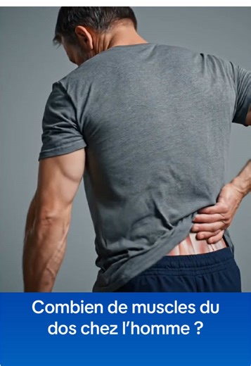 25 Muscles du Dos : Quiz Santé et Anatomie