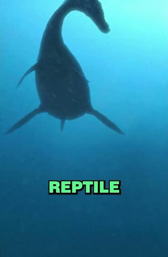 3 Biggest Animals That Ever Lived