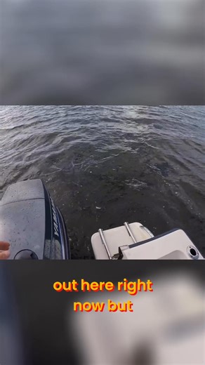 35K views · 264 reactions | The boat is spraying water everywhere, even though the conditions aren't the best. Adjusting the stop helps a bit with the negative trim. The question is, would adding a hydrofoil solve the problem? What do you think? #boats #hydrofoil #negativeTrim #boating #waterSpray | Born Again Boating | Facebook