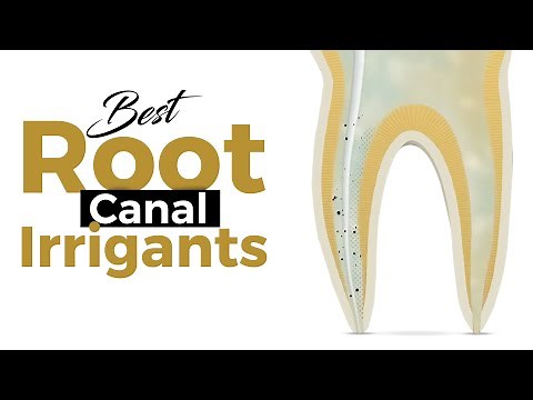 Best Root Canal Irrigants in Endodontic Treatment: Every Dentist Needs to Know