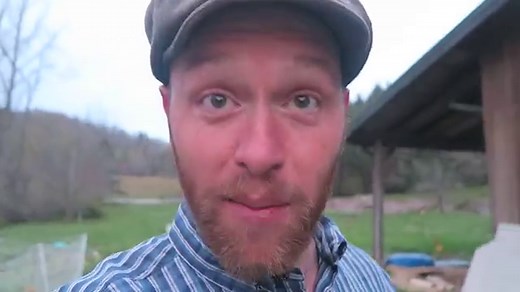 Five Stages for Success With Breeding Chickens - Abundant Permaculture