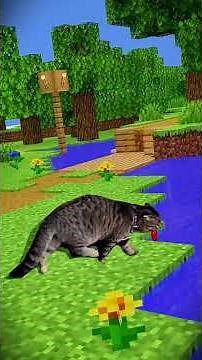 Most Adorable Minecraft EVER! Catcraft 4! #cat #minecraft
