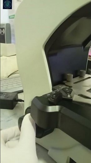 Live motile bacteria on maximum magnification under microscope.