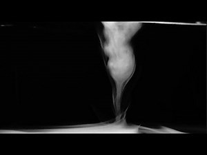 Complete Vortex Transition | Neil Ward Model