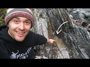 Guy Finds GOLD In Petrified Wood!