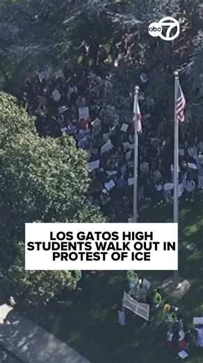 Students at Los Gatos High School walked out of class on Monday in protest of ICE. This comes after a nationwide demonstration on Friday that saw thousands of students across the Bay Area protest President Donald Trump and his administration. | ABC7 News