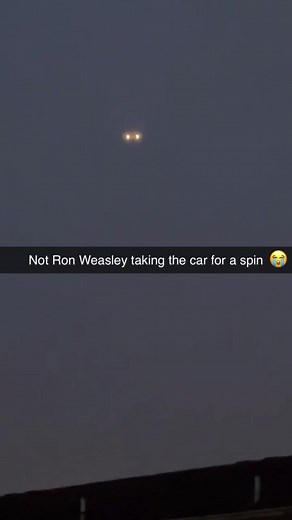 Flying Car Scene in Harry Potter: A Nostalgic Moment