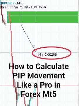 How to Calculate PIPs Movement Like a Pro in Forex Trading! #ForexTrading #PIP #ForexForBeginners