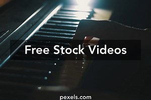 Piano Videos, Download The BEST Free 4k Stock Video Footage & Piano HD Video Clips
