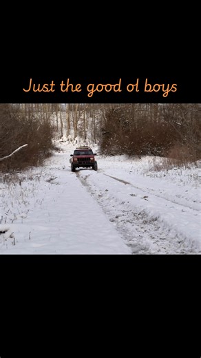 #justthegoodoleboys #waylonjennings #viral #fyp