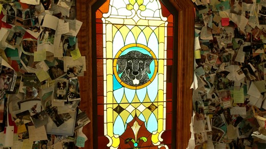 CBS News Sunday Morning:Dog Mountain: Sacred ground for dog lovers