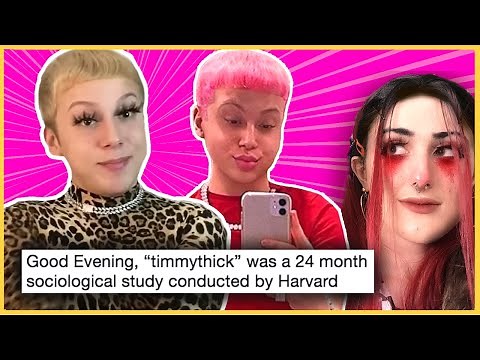 The Timmy Thick "Harvard Experiment" Hoax