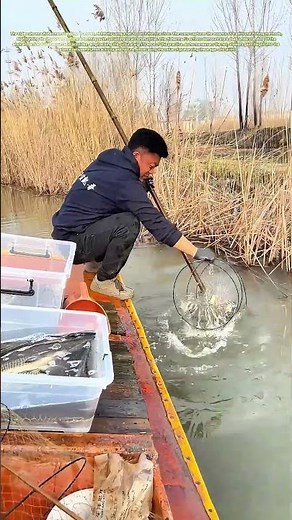 Navigating the Waters: How Traditional Fishing Techniques Sustain Communities